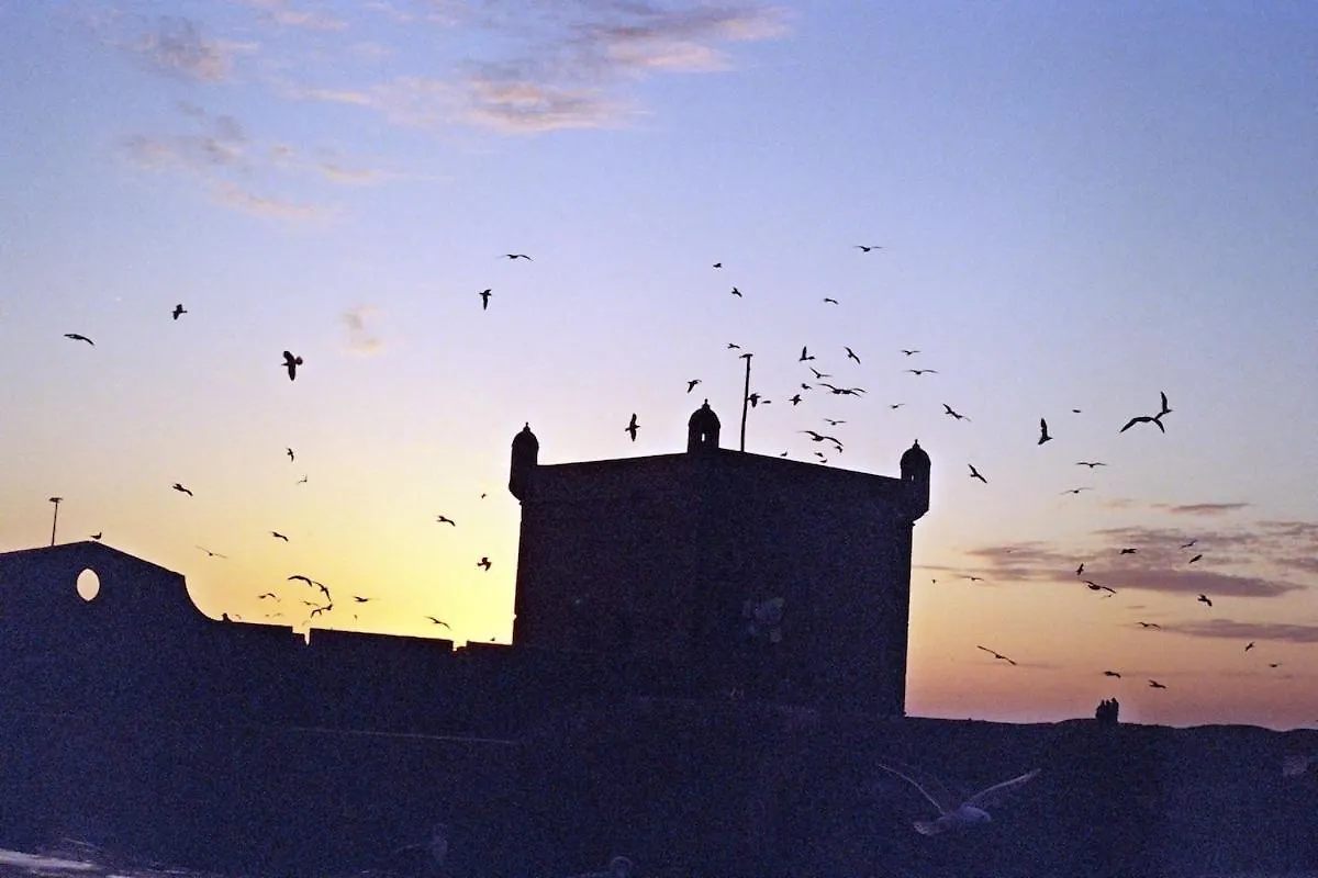 A Gem In The Medina Of Essaouira 빌라 0*,  모로코